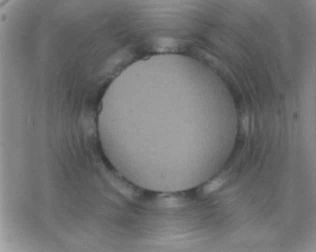 X0000071960620200607282035