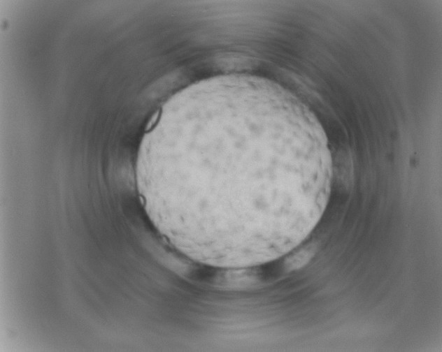 X0000071960622200607282035