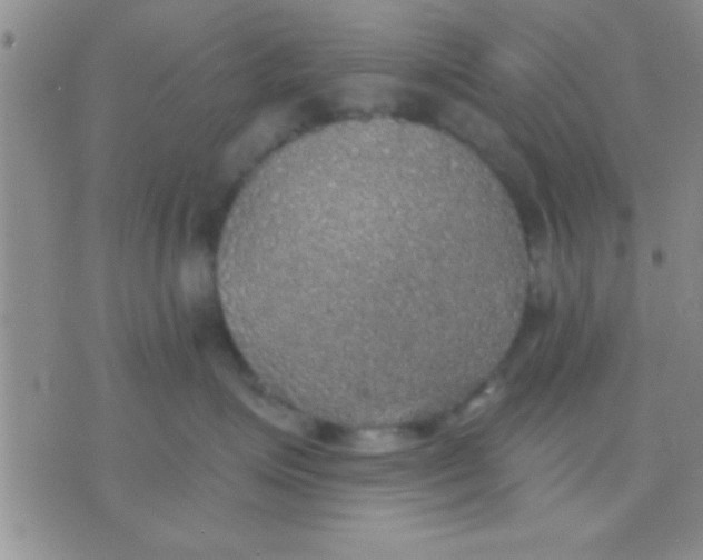 X0000071960623200607282035