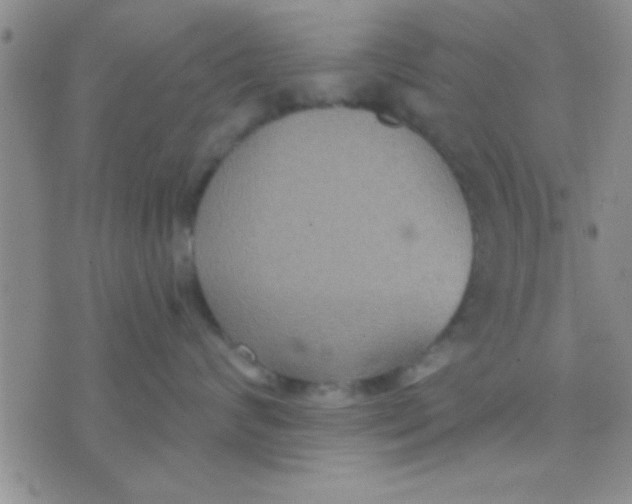 X0000071960624200607282035