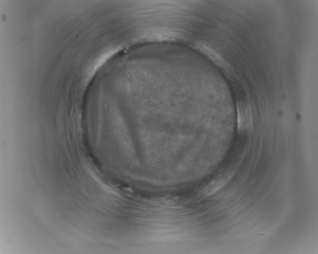 X0000071960627200607282034