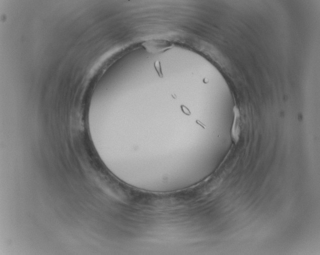 X0000071960628200607282034