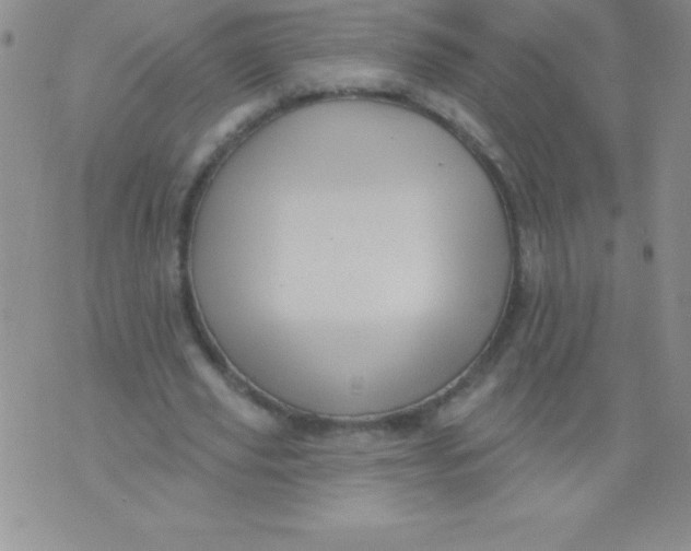 X0000071960629200607282034