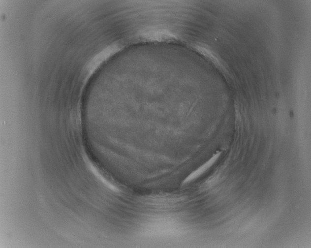 X0000071960630200607282034