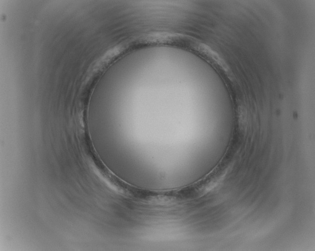 X0000071960633200607282034