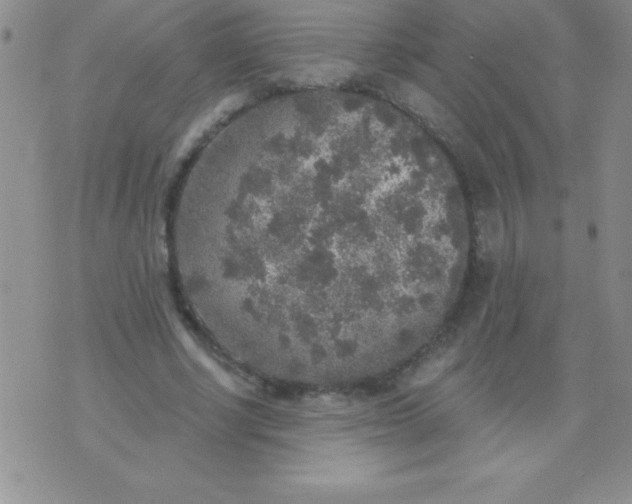 X0000071960634200607282034