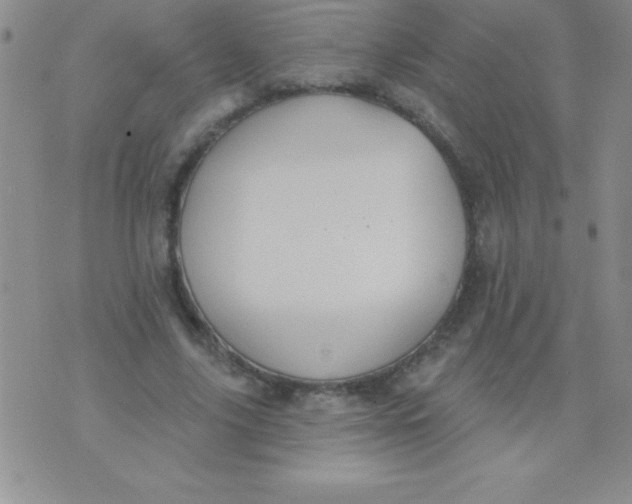 X0000071960635200607282034