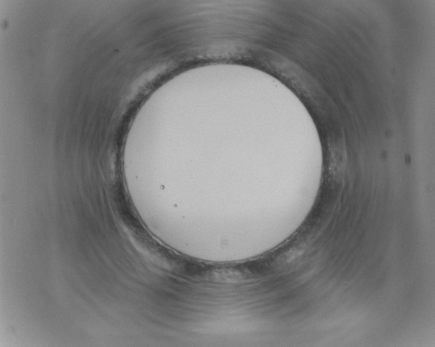 X0000071960636200607282034