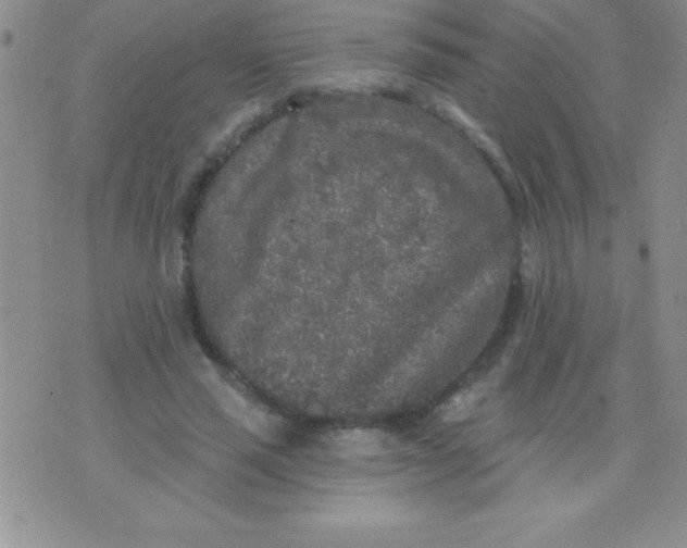 X0000071960637200607282034