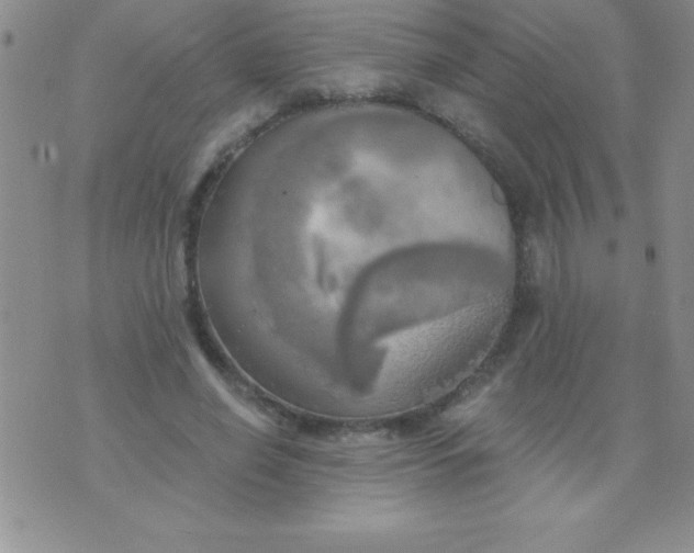 X0000071960638200607282034