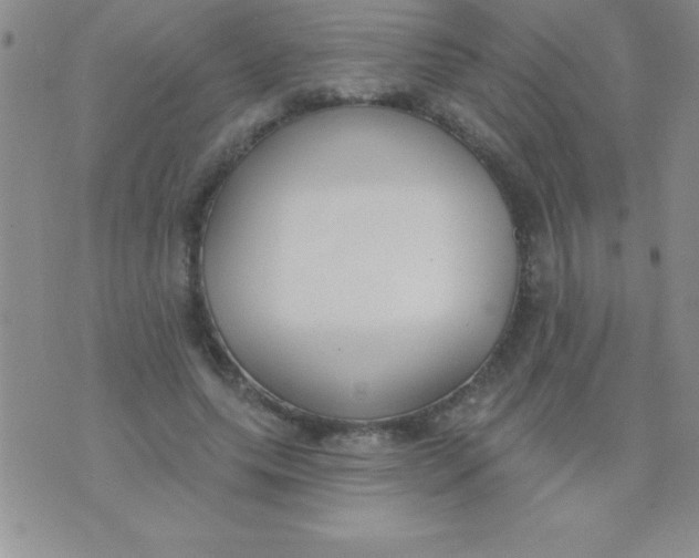 X0000071960639200607282034