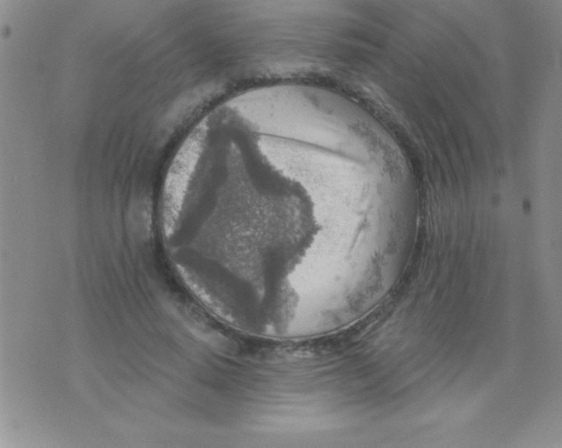 X0000071960640200607282034