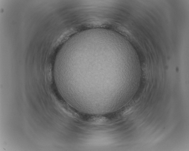 X0000071960642200607282034