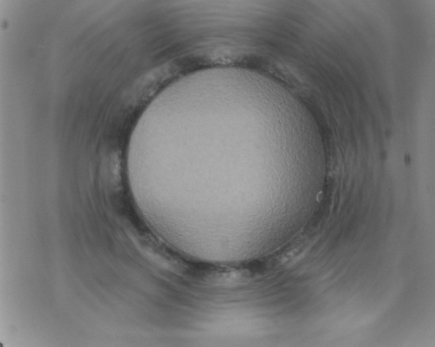 X0000071960646200607282034