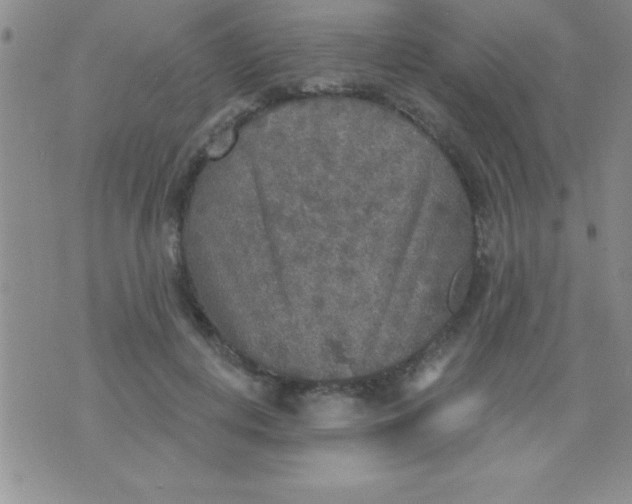 X0000071960648200607282034