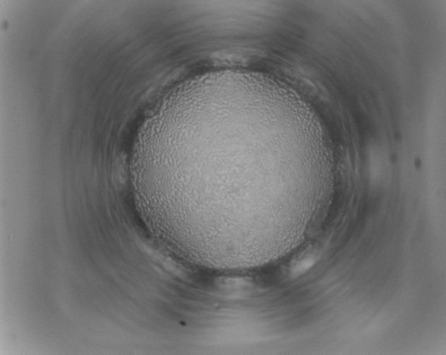 X0000071960649200607282034