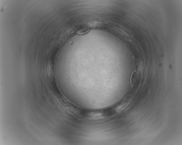 X0000071960651200607282034