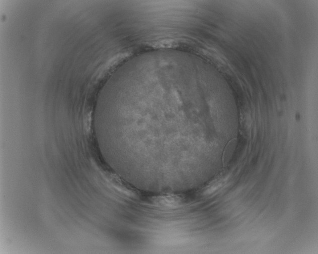 X0000071960652200607282034