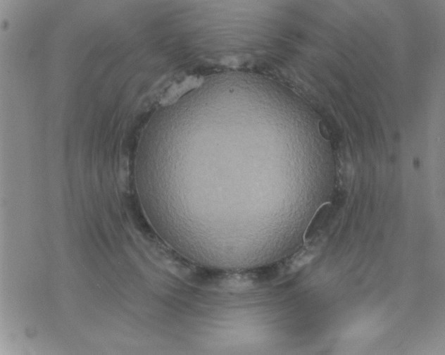 X0000071960656200607282034