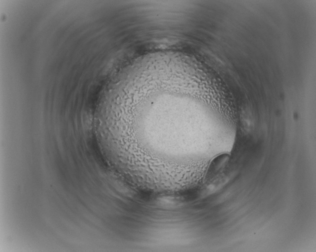 X0000071960657200607282034