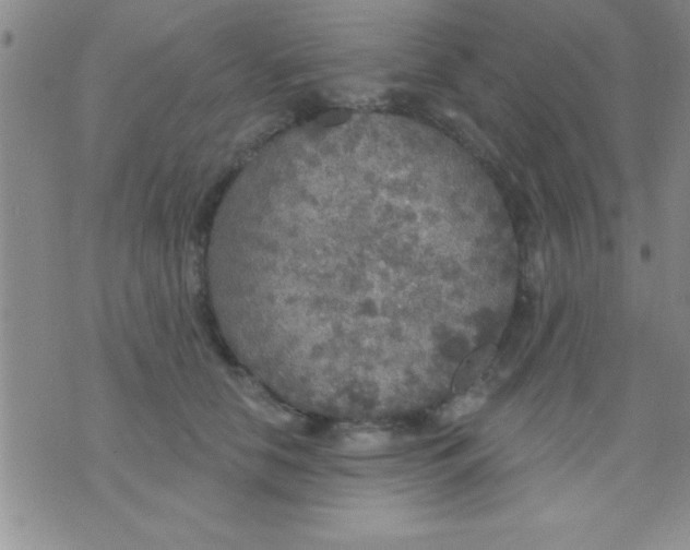 X0000071960658200607282034