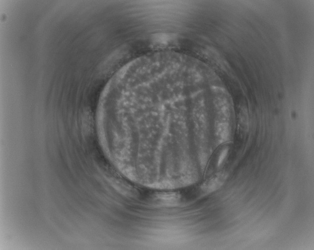 X0000071960659200607282034