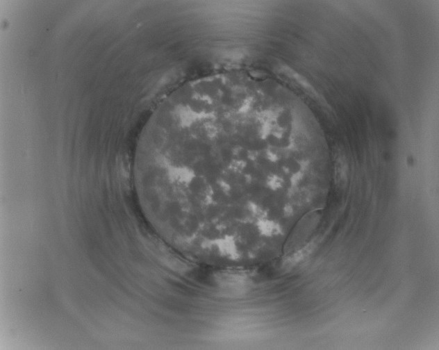 X0000071960661200607282034