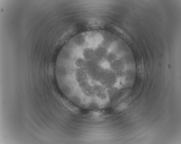 X0000071960662200607282034