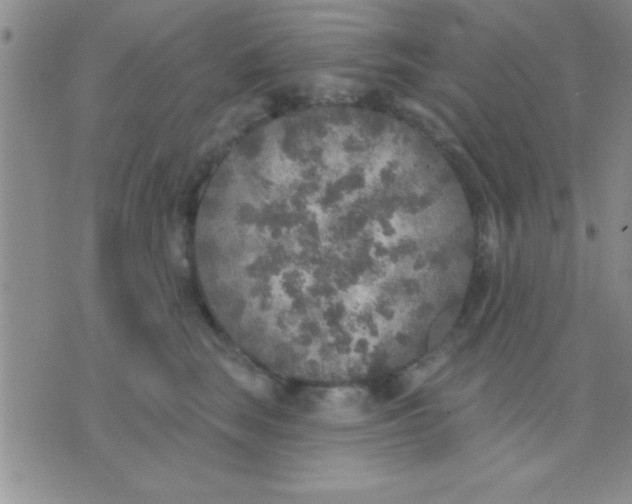 X0000071960663200607282034