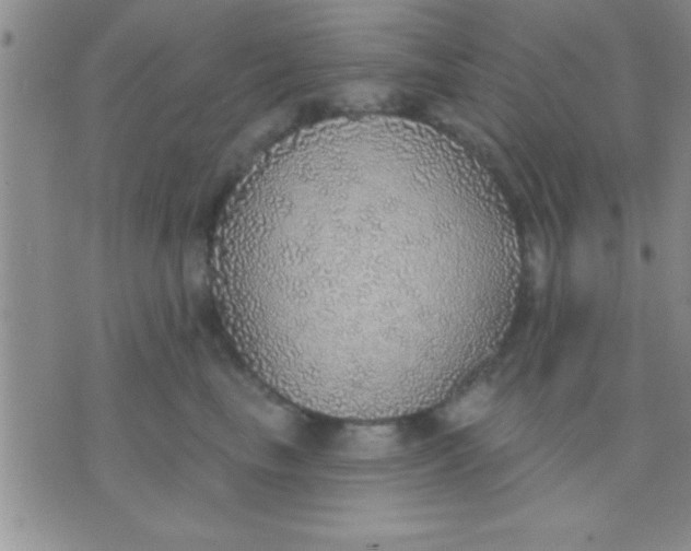 X0000071960665200607282034