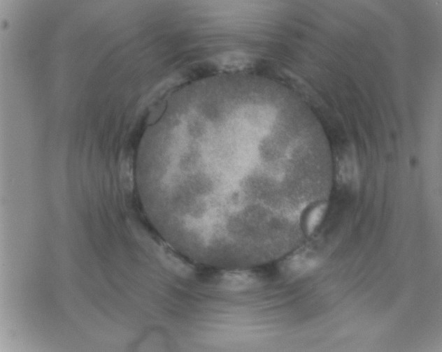 X0000071960666200607282034