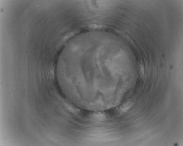 X0000071960668200607282034