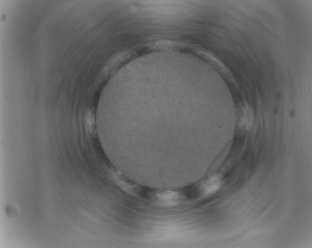 X0000071960669200607282034