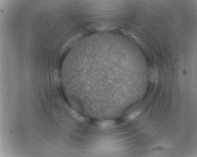 X0000071960670200607282035