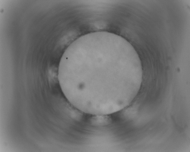 X0000071960672200607282035