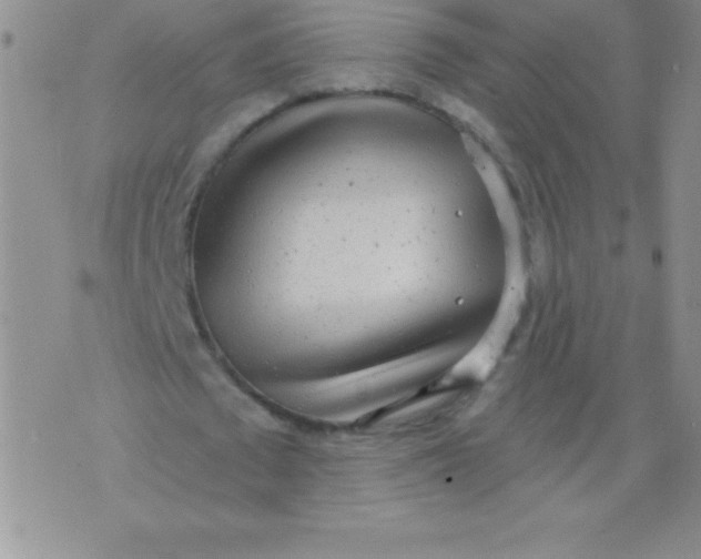 X0000071960673200607282034