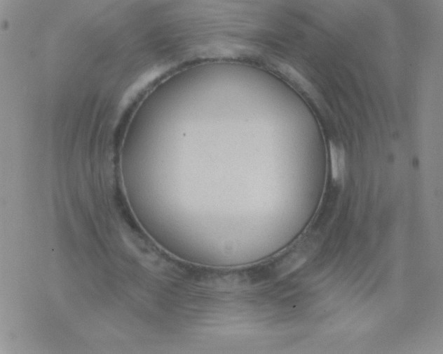 X0000071960675200607282034