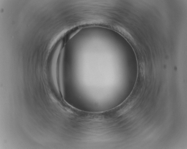 X0000071960676200607282034