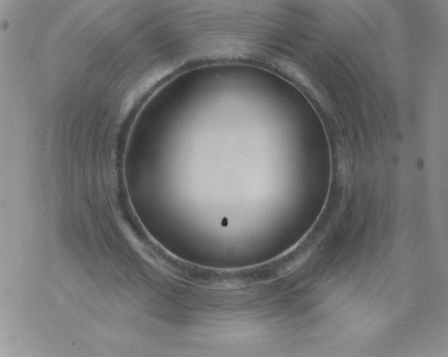 X0000071960677200607282034