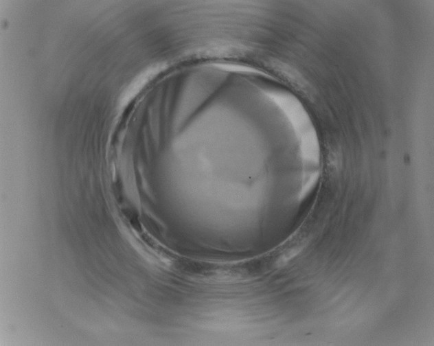 X0000071960678200607282034