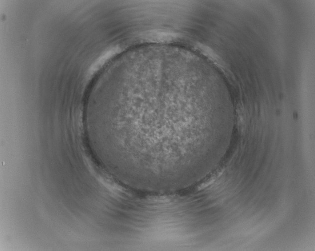 X0000071960679200607282034