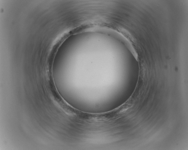 X0000071960680200607282034