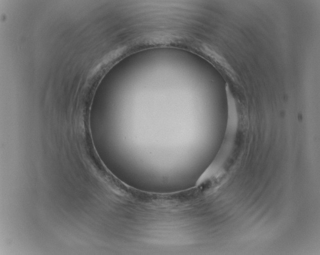 X0000071960681200607282034