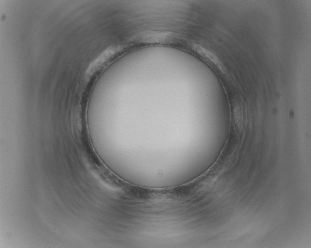 X0000071960682200607282034