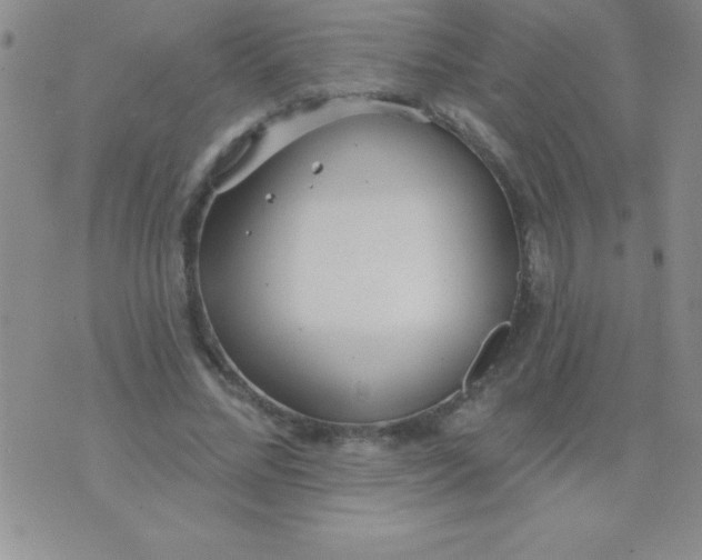 X0000071960684200607282034