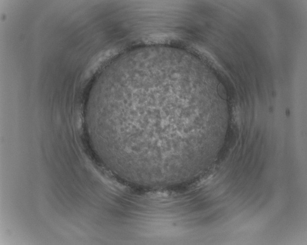 X0000071960687200607282034