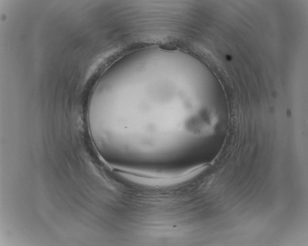 X0000071960688200607282034