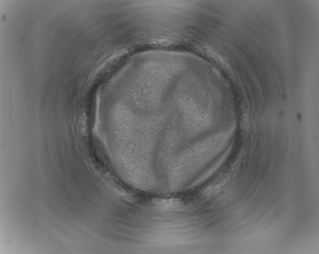 X0000071960689200607282034