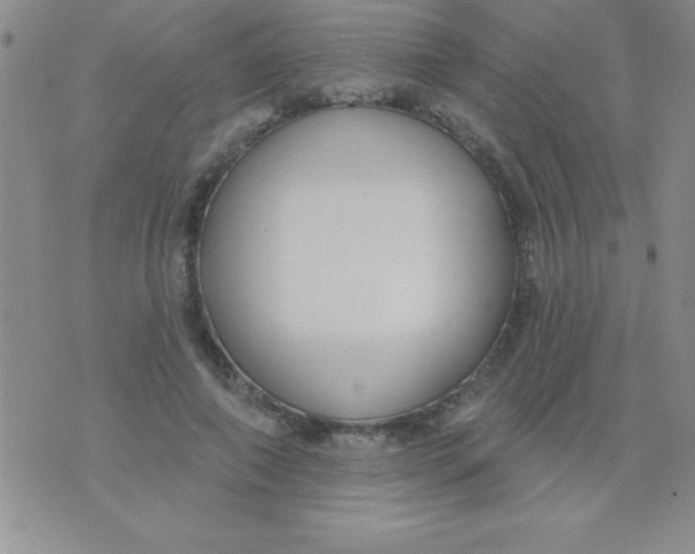 X0000071960690200607282033