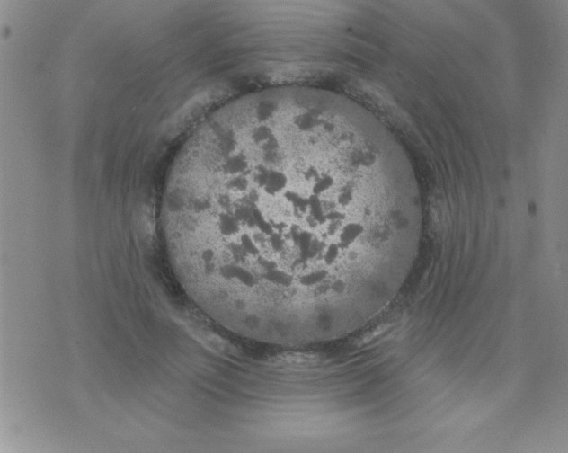 X0000071960691200607282033